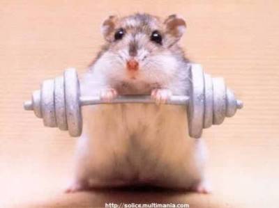 Je souris.-:*`*:-..-:*`*:-..-:*