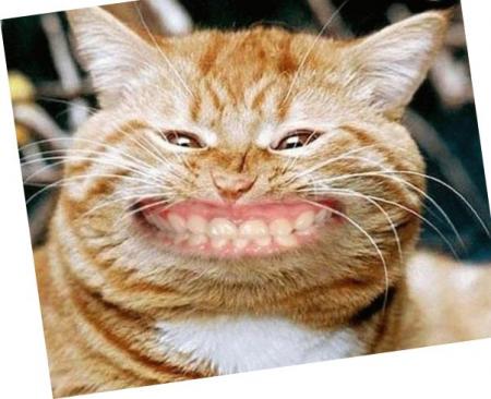 Dentiste