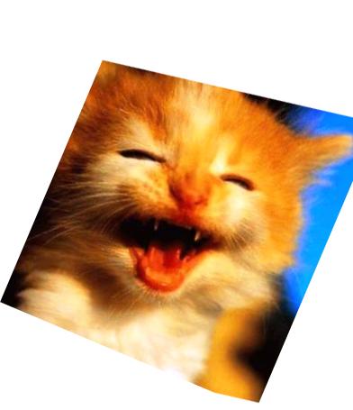Trop drole