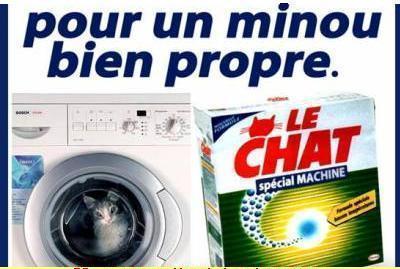 Et oui un peu de pornos