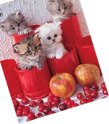 On est trop pommes.
