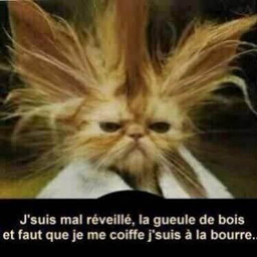 Je me lever tard je c'est