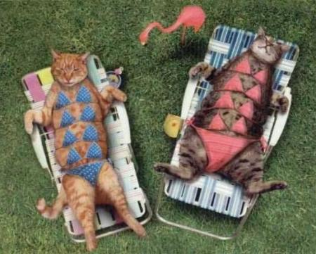 Le bronzage