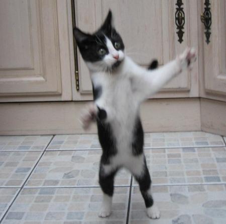 La dance