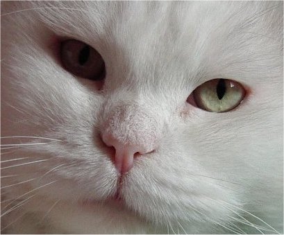 Viens avec moi