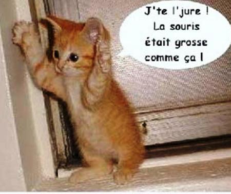 Elle mas pas vue